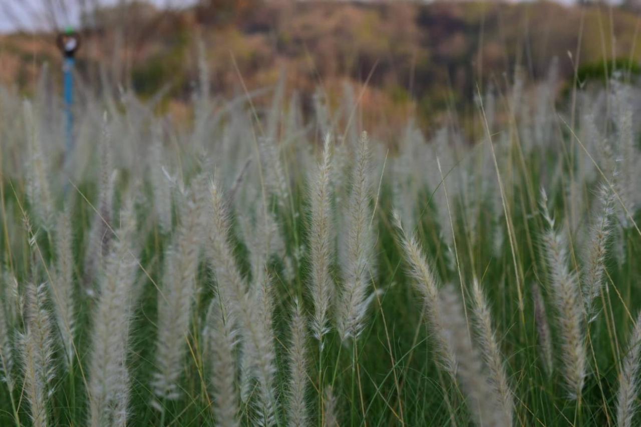 Roukh Kiri Khaoyai, The Centara Collection Βίλα Pak Chong Εξωτερικό φωτογραφία